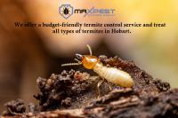 MAX Termite Control Hobart image 2